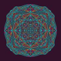 mandala ethnique floral ornemental coloré vecteur