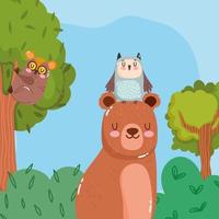 animaux mignons ours hibou et tarsius en branche arbre herbe forêt nature sauvage dessin animé vecteur