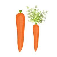 illustration de conception de vecteur de carotte fraîche isolé sur fond blanc