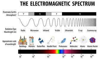 diagramme du spectre électromagnétique scientifique vecteur