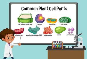 Jeune scientifique expliquant les parties de cellules végétales communes devant un tableau en laboratoire vecteur