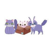 animalerie, chats laids et moelleux en dessin animé domestique animal boîte vecteur