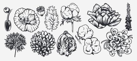 un ensemble d'illustrations sur un thème floral. vecteur