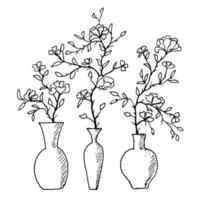 illustration botanique. plantes d'intérieur en pots dans des vases à fleurs. style de griffonnage. vecteur