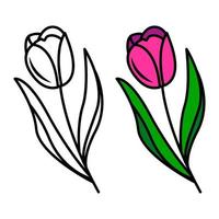 dessin vectoriel de fleurs de tulipes, élément floral isolé dans un style doodle. fleur de tulipe colorée sur fond blanc