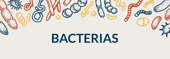 conception horizontale de bactéries. illustration vectorielle dessinés à la main dans le style de croquis vecteur