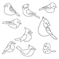 ensemble d'images vectorielles de sillhouette d'oiseau dans un style plat divers styles et formes sont perchés sur une branche, vecteur d'oiseau plat isolé sur fond blanc