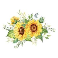 bouquet de tournesols à l'aquarelle, bouquets de tournesol peints à la main avec verdure, arrangement de fleurs de tournesol. éléments de clipart d'invitation de mariage. aquarelle florale. dessin botanique. fond blanc. vecteur