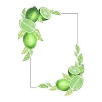 cadre aquarelle composé de citrons verts, tranche de citron vert, branches et feuilles. vignette dessinée à la main pour les cartes, les invitations, les cosmétiques ou le concept de conception d'étiquettes alimentaires, avec espace de texte vecteur