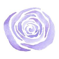 fleur aquarelle, rose pourpre, illustration dessinée à la main pour votre conception, un élément pour les invitations, cartes postales et textiles vecteur