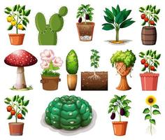 ensemble de différentes plantes en pots isolé sur fond blanc vecteur