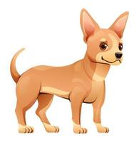 illustration de dessin animé vecteur chien chihuahua