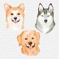 collection d'éléments de visage de chiot chien aquarelle clip art vecteur