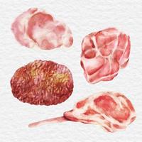 aquarelle viande boeuf et poulet clipart élément vecteur