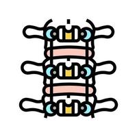 illustration vectorielle d'icône de couleur de fusion vertébrale vecteur