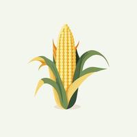 Épi de maïs biologique sucré en illustration vectorielle sur fond blanc vecteur