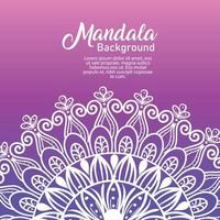 arrière-plan fleur blanche mandala de luxe sur fond violet, mandala de luxe vintage, décoration ornementale vecteur