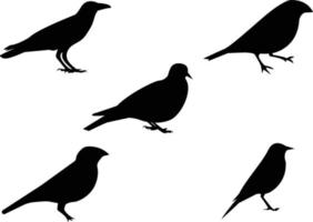 silhouette d'oiseaux - 6 illustrations vectorielles différentes vecteur