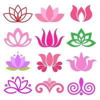 illustration ensemble de fleurs de lotus variées vecteur