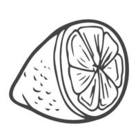illustration vectorielle de style dessin animé doodle dessinés à la main. ensemble de collection d'agrumes citron vert orange pour le menu, la conception du marché des agriculteurs, l'illustration du processus de fabrication de cocktails, la décoration de livres de cuisine, etc. vecteur