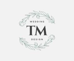 tm initiales lettre collection de logos de monogramme de mariage, modèles minimalistes et floraux modernes dessinés à la main pour cartes d'invitation, réservez la date, identité élégante pour restaurant, boutique, café en image vectorielle vecteur