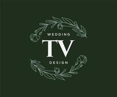 collection de logos de monogramme de mariage lettre initiales tv, modèles minimalistes et floraux modernes dessinés à la main pour cartes d'invitation, réservez la date, identité élégante pour restaurant, boutique, café en image vectorielle vecteur