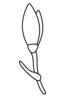 fleur de perce-neige doodle deuxième. illustration vectorielle de contour dessiné à la main. vecteur