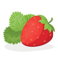 fraise avec feuilles, fraise isolée sur fond blanc, illustration vectorielle de fraise vecteur