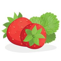 fraise avec feuilles, fraise isolée sur fond blanc, illustration vectorielle de fraise vecteur