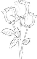 contour rose, belle illustration de motif floral botanique pour la page ou le livre à colorier, roses rouges, croquis de fleurs dessinés à la main monochrome, art vectoriel, illustration, vecteur