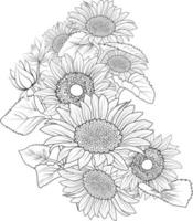 bouquet de croquis au crayon dessiné à la main de tournesol, page de coloriage et livre pour adultes isolés sur fond blanc tatouage d'élément floral, art d'encre d'illustration, collection de printemps de tournesols en fleurs. vecteur