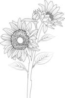 page de coloriage de fleurs et livres, croquis vectoriel monochrome dessiné à la main, arrière-plan floral vectoriel tournesol avec collection de branches de feuilles naturelles, art au crayon d'illustration, image isolée.