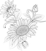 illustration d'un tournesol, dessin vectoriel au crayon, page de coloriage floral bouquet et livre isolé sur clipart de fond blanc.