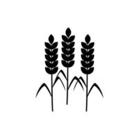 vecteur d'icône de blé. signe d'illustration de céréales. symbole de récolte. logo de la ferme.