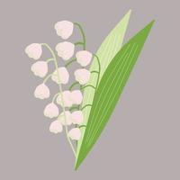 illustration vectorielle carrée avec le muguet sur fond gris vecteur