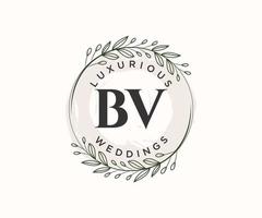 bv initiales lettre modèle de logos de monogramme de mariage, modèles minimalistes et floraux modernes dessinés à la main pour cartes d'invitation, réservez la date, identité élégante. vecteur