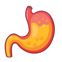 estomac avec icône de gaz pour l'illustration vectorielle du symbole d'organe de l'anatomie humaine vecteur