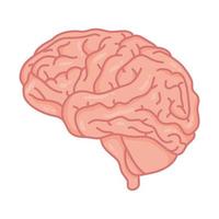 cerveau humain, symbole de soins de santé mentale vecteur