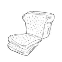 croquis de tranches de pain grillé. gravure de pain dans un style dessiné à la main vecteur