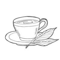 tasse de thé avec icône de doodle contour dessiné main feuille de thé. boisson chaude - illustration de croquis de vecteur de tasse de thé pour impression, web, mobile et infographie isolé sur fond blanc.