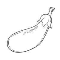 icône d'aubergine dessinée à la main. légume de badge vectoriel dans l'ancien style d'encre pour les brochures, la bannière, le menu du restaurant et le marché