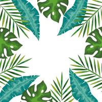 cadre de branches avec des feuilles tropicales, concept de nature vecteur