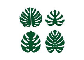 monstera feuille icône design modèle vector illustration isolé