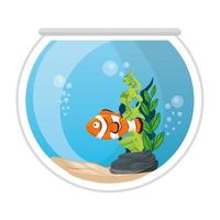 poisson-clown d'aquarium avec de l'eau, des algues, un animal marin d'aquarium vecteur