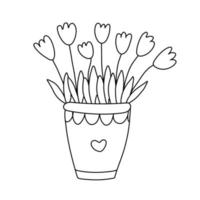 de jolies tulipes sont dans un pot décoré d'un coeur. illustration vectorielle dessinée à la main isolée sur blanc. contour noir. style de griffonnage. idéal pour la conception de printemps et de pâques, les livres à colorier vecteur
