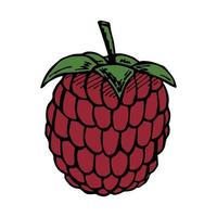 vecteur clipart framboise. icône de baies dessinées à la main. illustration de fruits. pour l'impression, le web, le design, la décoration, le logo.