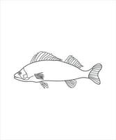 illustration d'un dessin au trait de poisson sur blanc vecteur