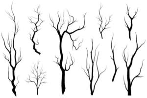 les arbres aux feuilles vertes sont beaux et rafraîchissants. style de logo arbre et racines. vecteur