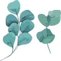 collection de feuilles d'eucaliptus argentées vertes. branches naturelles, illustration vectorielle. parfait pour l'impression et la conception de mariage vecteur