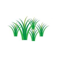 vecteur de logo d'herbe